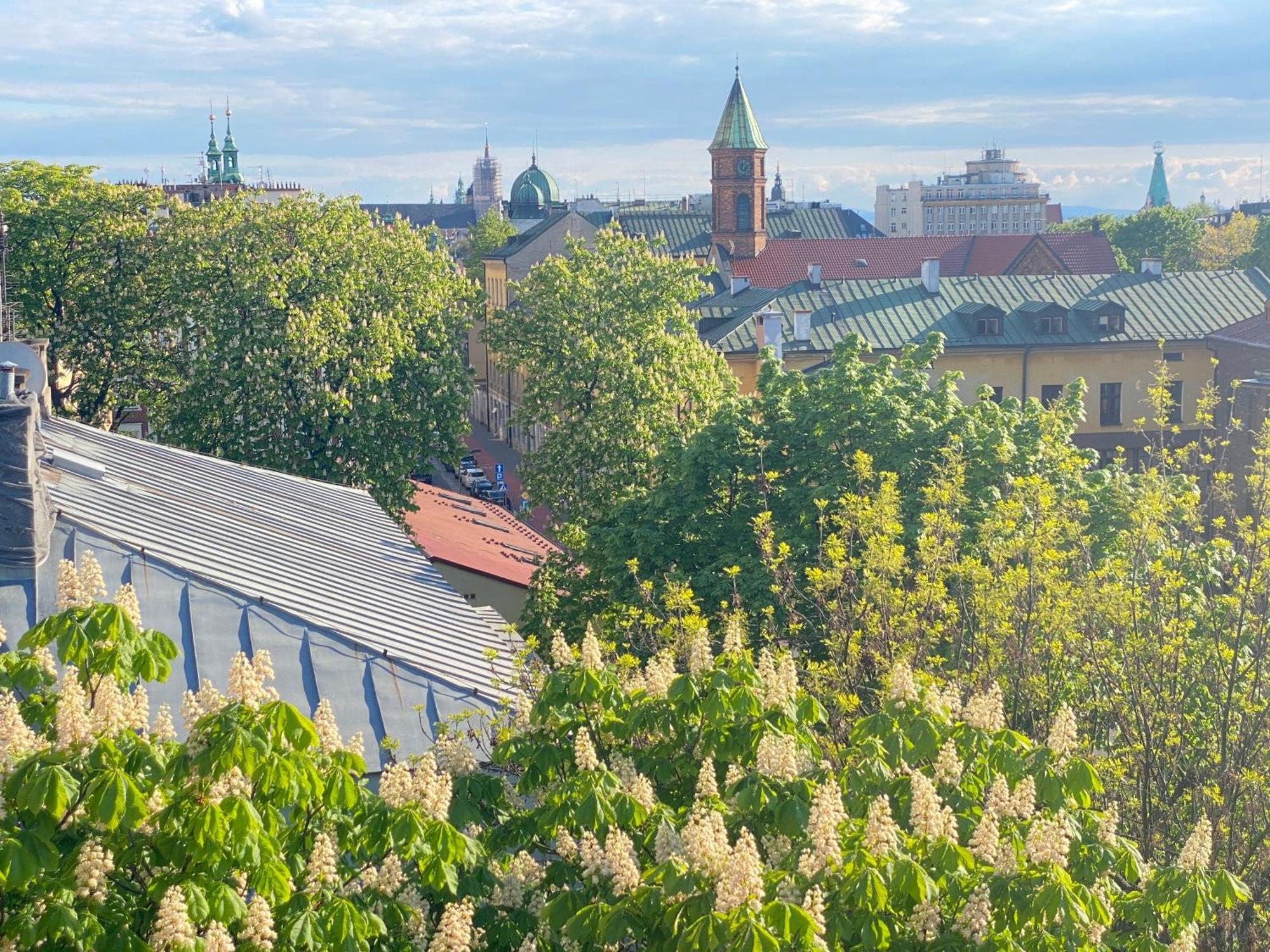 Angel Mint Apartment - Free Parking - Balcony Krasków Eksteriør bilde